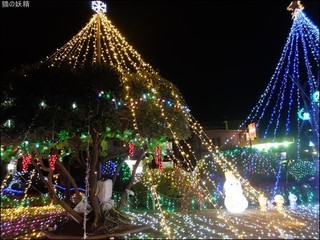 s-DSCF5923.jpg