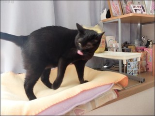 s-DSCF5960.jpg