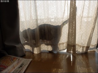 s-DSCF5961.jpg