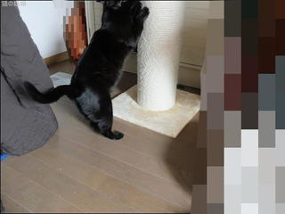 s-DSCF6034.jpg