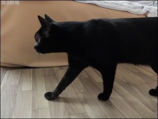 s-DSCF6047.jpg