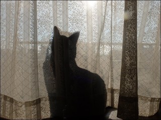 s-DSCF6056.jpg