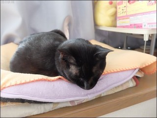 s-DSCF6058.jpg
