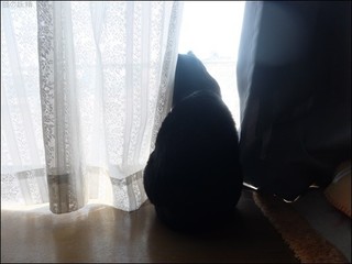s-DSCF6069.jpg