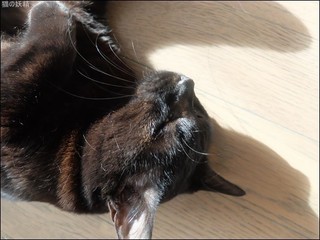 s-DSCF6126.jpg