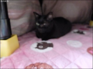 s-DSCF6147.jpg