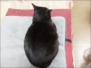 s-DSCF6178.jpg