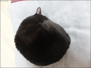 s-DSCF6199.jpg