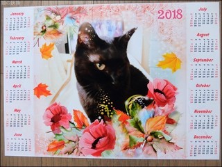s-DSCF6227.jpg