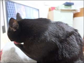 s-DSCF6307.jpg