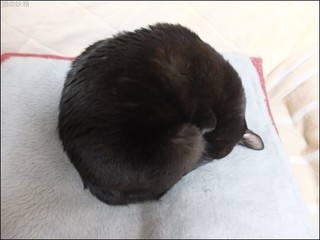 s-DSCF6313.jpg
