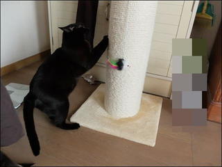 s-DSCF6325.jpg