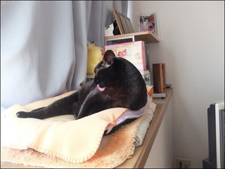 s-DSCF6338.jpg