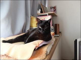 s-DSCF6339.jpg
