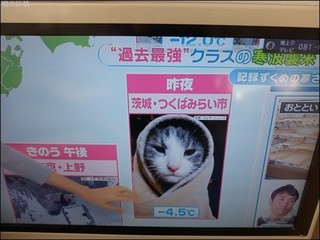 s-DSCF6343.jpg