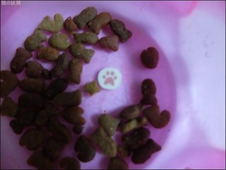 s-DSCF6376.jpg