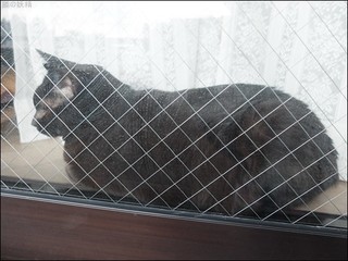 s-DSCF6389.jpg