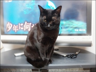 s-DSCF6408.jpg