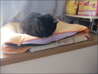 s-DSCF6456.jpg