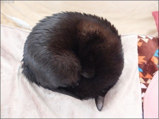 s-DSCF6462.jpg