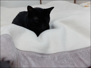s-DSCF6536.jpg