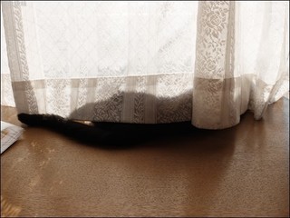 s-DSCF6550.jpg