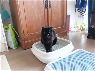 s-DSCF6597.jpg