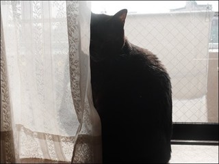 s-DSCF6692.jpg
