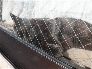 s-DSCF6763.jpg