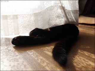 s-DSCF6765.jpg