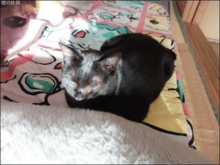 s-DSCF6870.jpg
