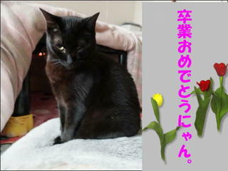 s-DSCF6935.jpg