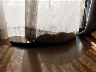 s-DSCF6945.jpg