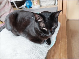 s-DSCF7154.jpg