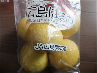 s-DSCF7163.jpg