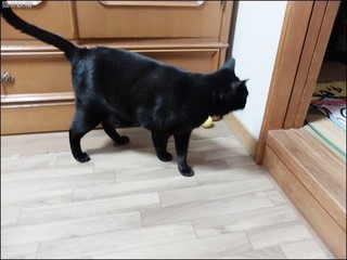 s-DSCF7188.jpg