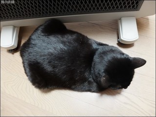 s-DSCF7194.jpg
