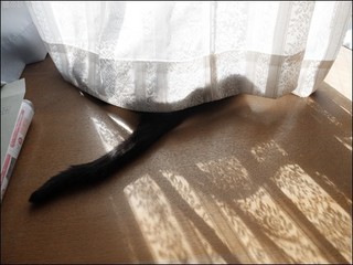 s-DSCF7288.jpg