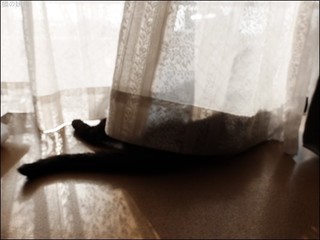 s-DSCF7303.jpg