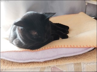 s-DSCF7360.jpg