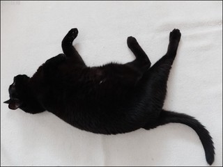 s-DSCF7447.jpg