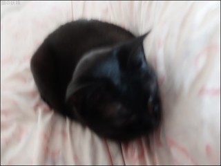 s-DSCF7455.jpg