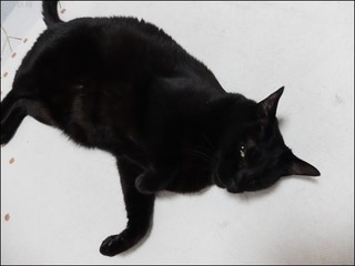 s-DSCF7481.jpg