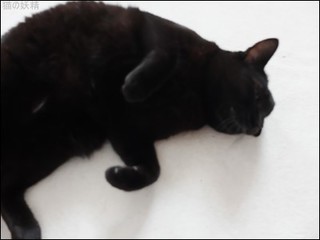 s-DSCF7651.jpg