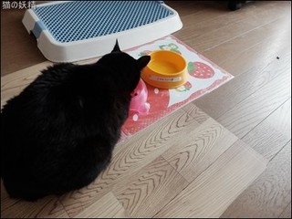 s-DSCF7680.jpg