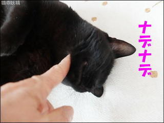 s-DSCF7719.jpg
