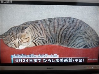 s-DSCF7792.jpg