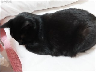 s-DSCF7850.jpg
