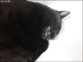 s-DSCF7853.jpg