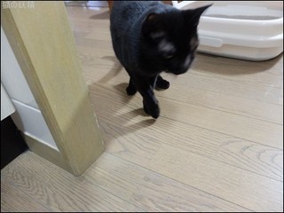 s-DSCF8011.jpg